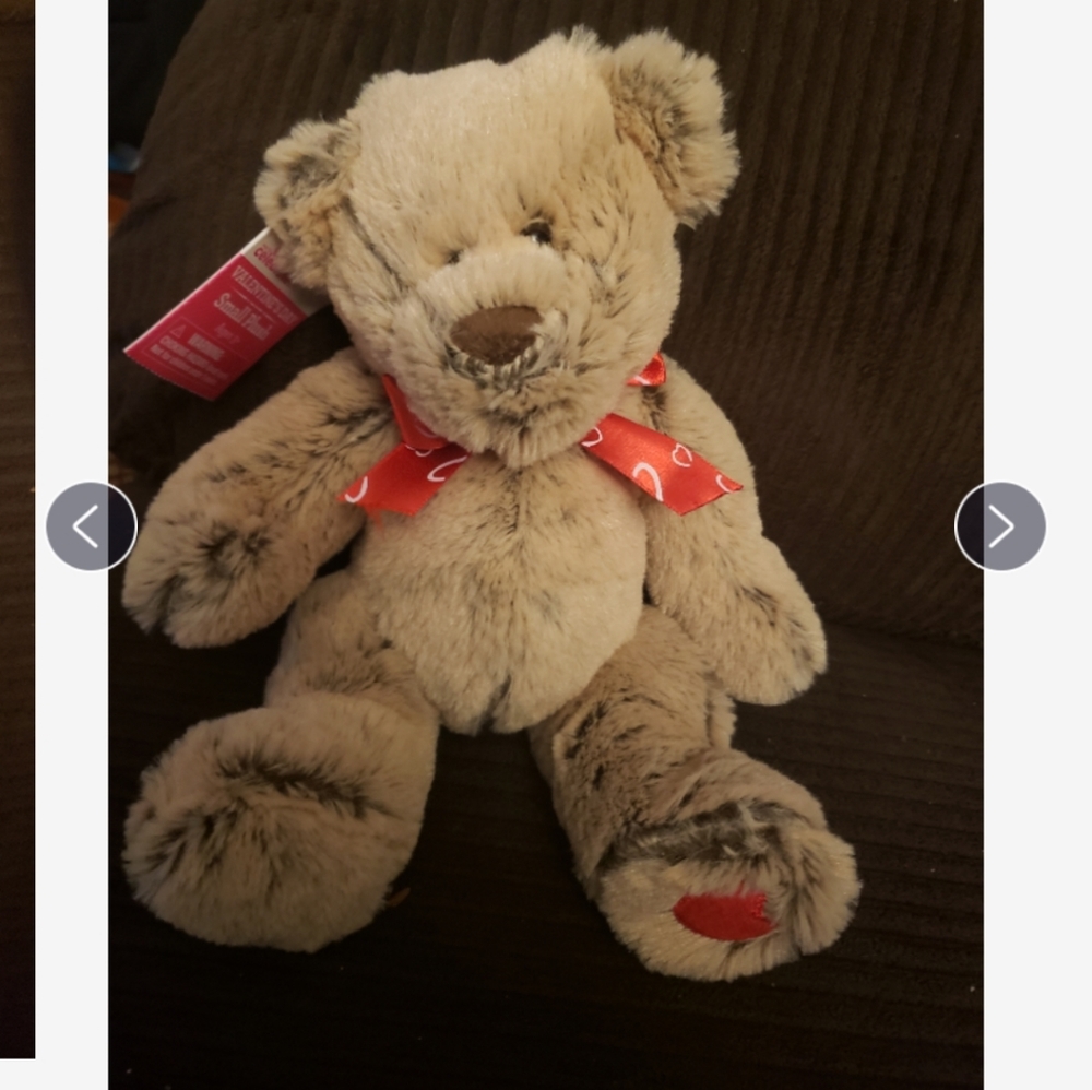 🤯3/$12 Valentine's Teddy Bear Super Soft